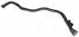 Common Rail